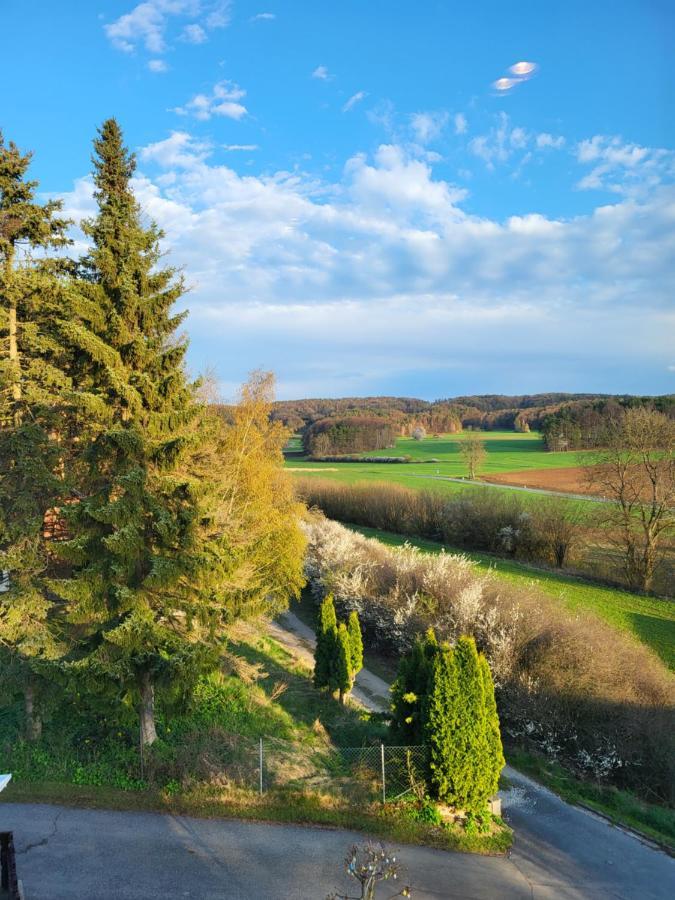 ホテル Pension Am Wald ゲスヴァインシュタイン エクステリア 写真