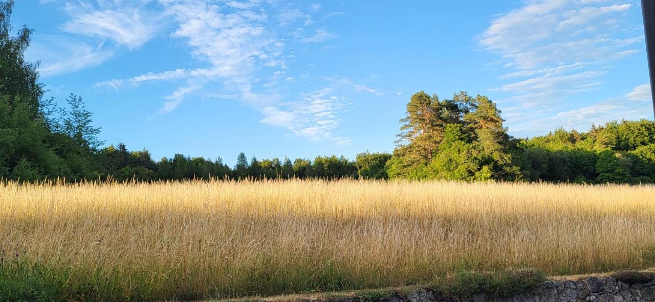 ホテル Pension Am Wald ゲスヴァインシュタイン エクステリア 写真